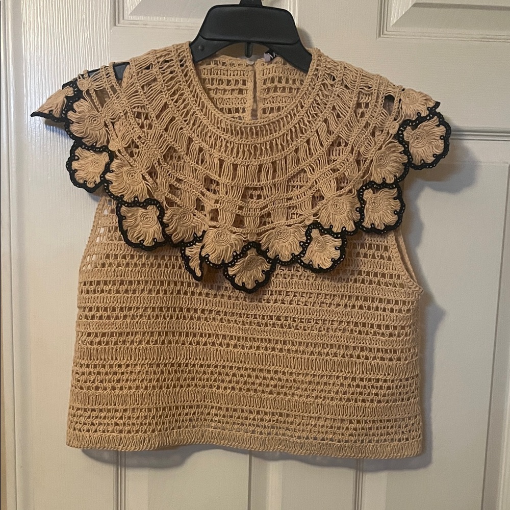 Zara Beige and Black Crochet Blouse - Picture 4 of 5